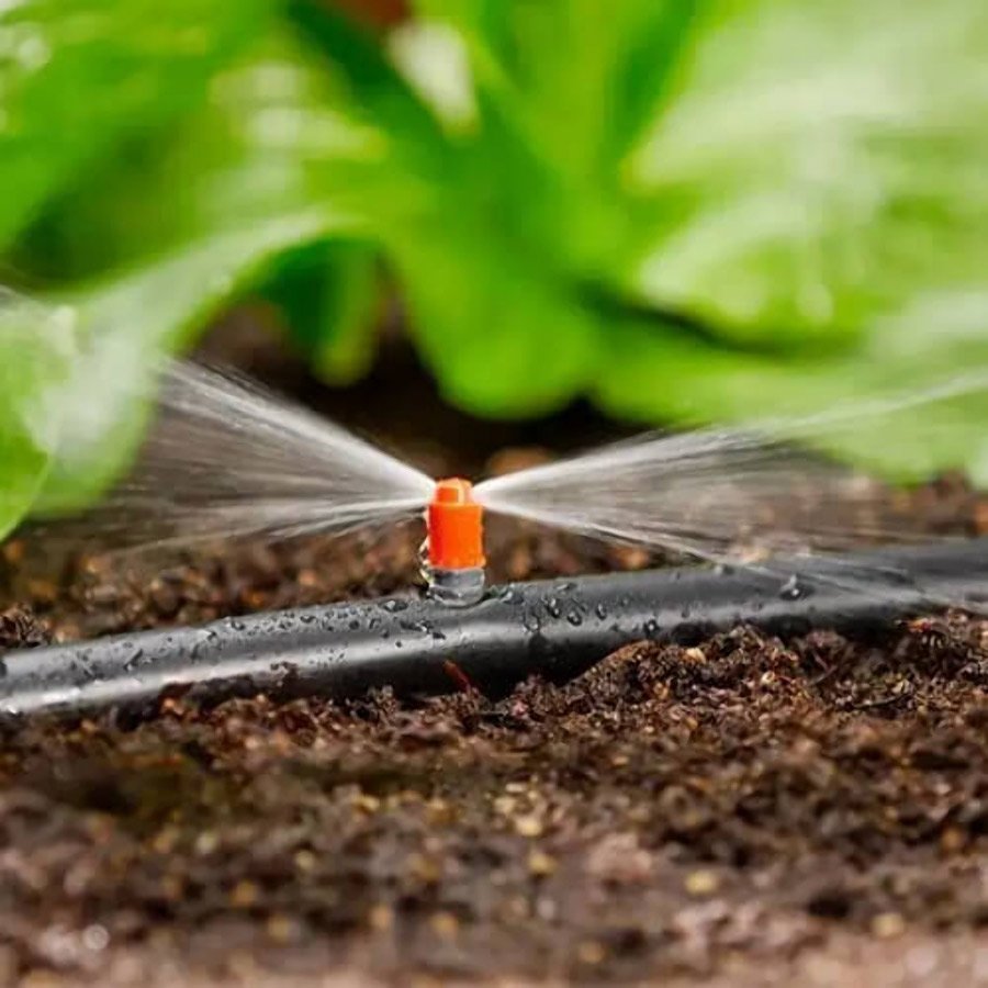 irrigation